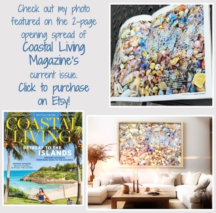 Coastal Living Photo on Etsy